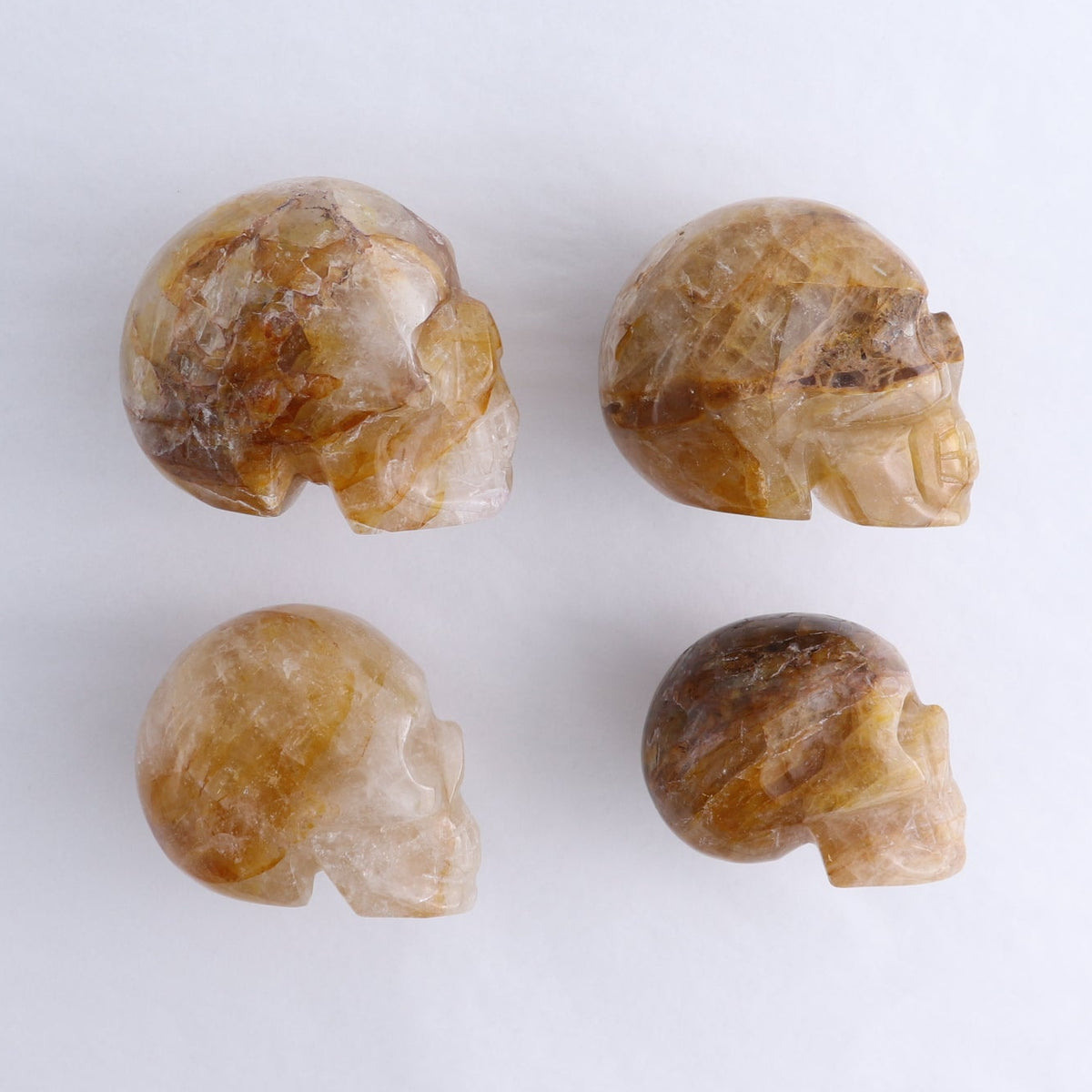 Golden Healer Skulls Set of 4