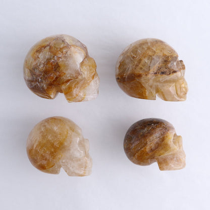 Golden Healer Skulls Set of 4