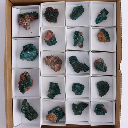 Dioptase Set of 19 - Expert Wholesale and Supplier of Wholesale Crystals & Bulk Gemstones, ["dioptase","Freeform","Freeforms"]