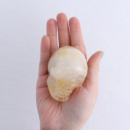 Golden Healer Skulls Set of 4