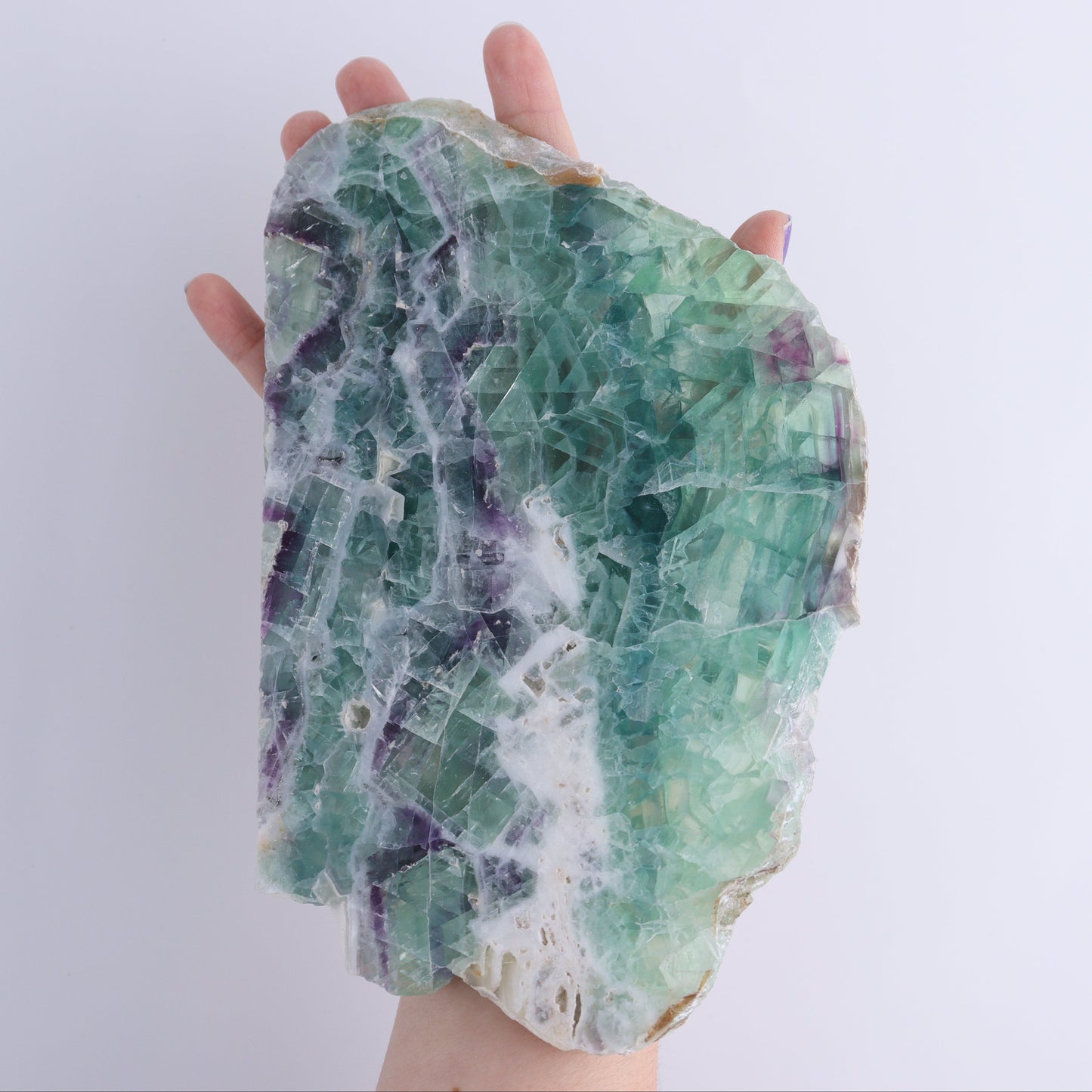 Fluorite Face Polished Set of 5 - Expert Wholesale and Supplier of Wholesale Crystals & Bulk Gemstones, ["Face Polished","Fluorite","Mexico"]