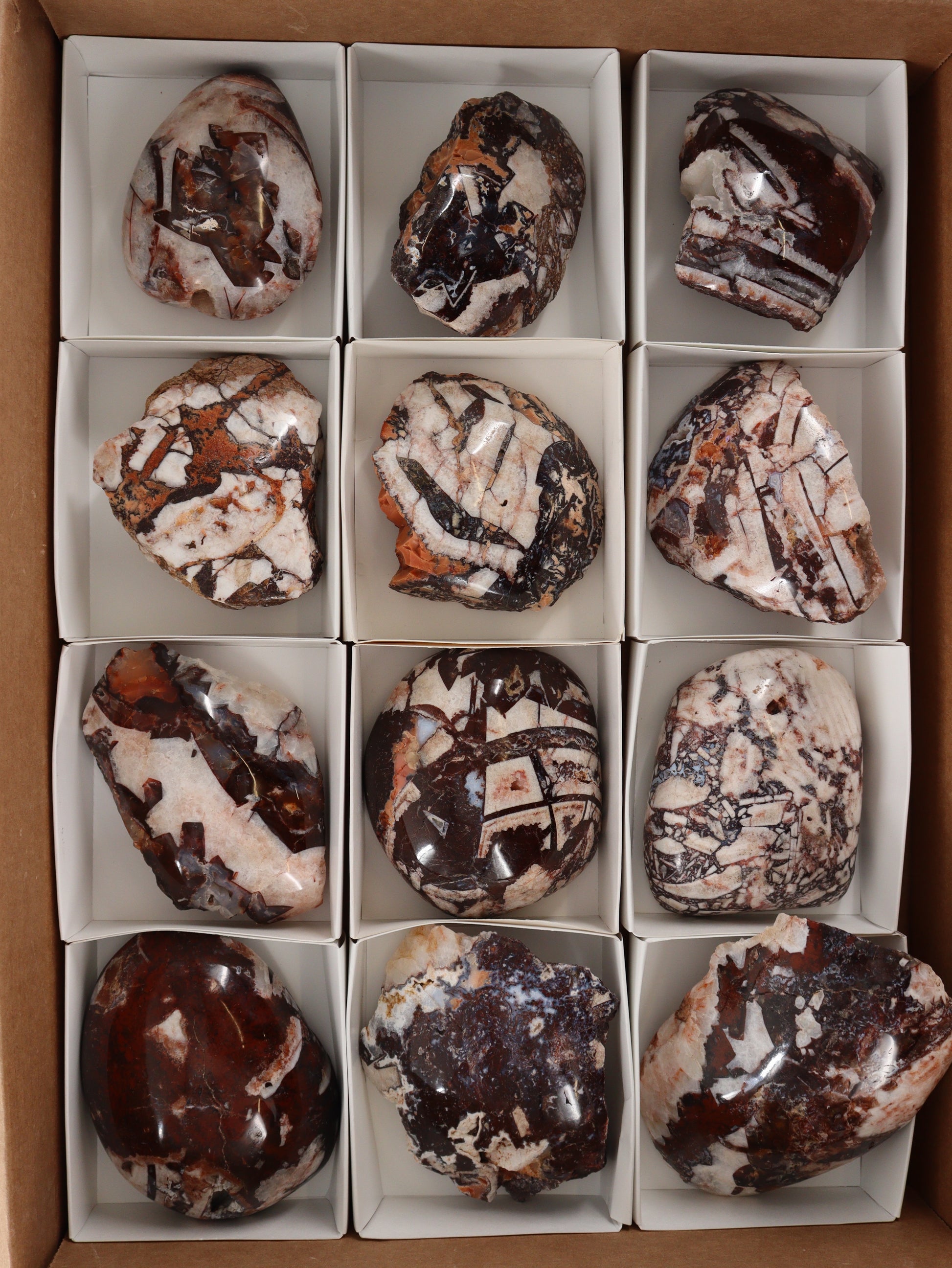 Agate Face Polished Freeforms Set of 12 - Expert Wholesale and Supplier of Wholesale Crystals & Bulk Gemstones, []