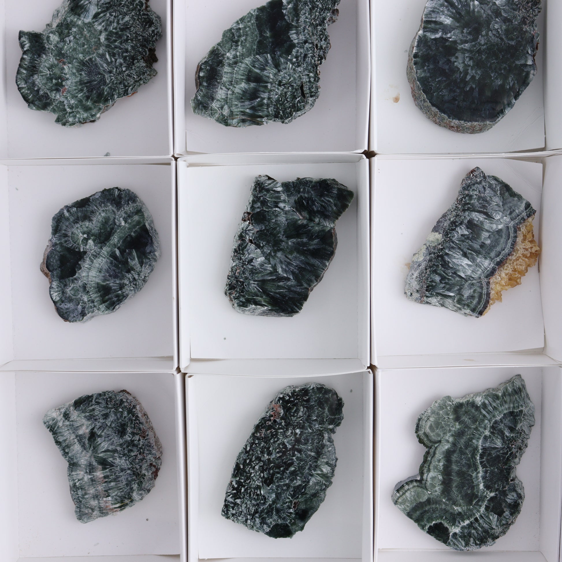 Seraphinite Slices Set of 12 - Expert Wholesale and Supplier of Wholesale Crystals & Bulk Gemstones, ["Seraphinite","Slices and Slabs"]