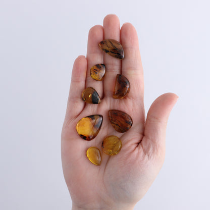 Chiapas Mexico Amber Cabs Set of 8 - Expert Wholesale and Supplier of Wholesale Crystals & Bulk Gemstones, ["Amber","Cabs","Chiapas Amber","Mexico"]