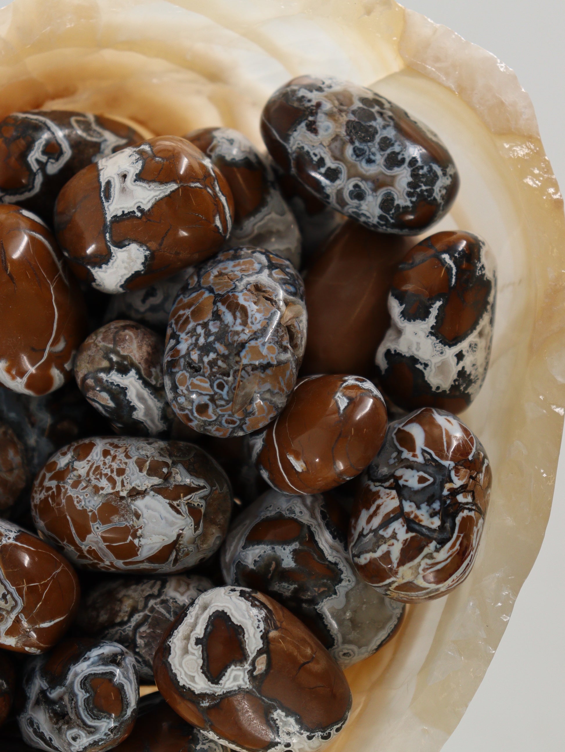 1 Kg Brecciated Jasper Tumbles - Expert Wholesale and Supplier of Wholesale Crystals & Bulk Gemstones, []