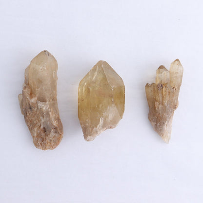 Congo Citrine Set of 12 - wholesale crystals