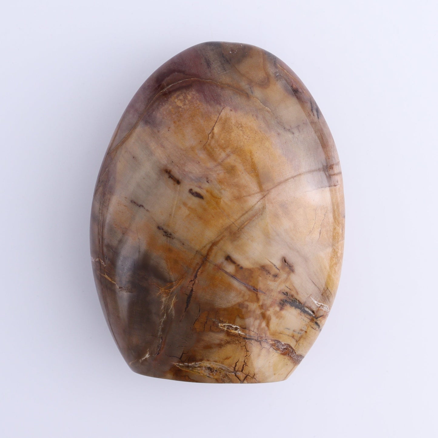 Petrified Wood Freeforms Set of 3 - Expert Wholesale and Supplier of Wholesale Crystals & Bulk Gemstones, ["Freeform","Freeforms","Madagascar","Petrified Wood"]