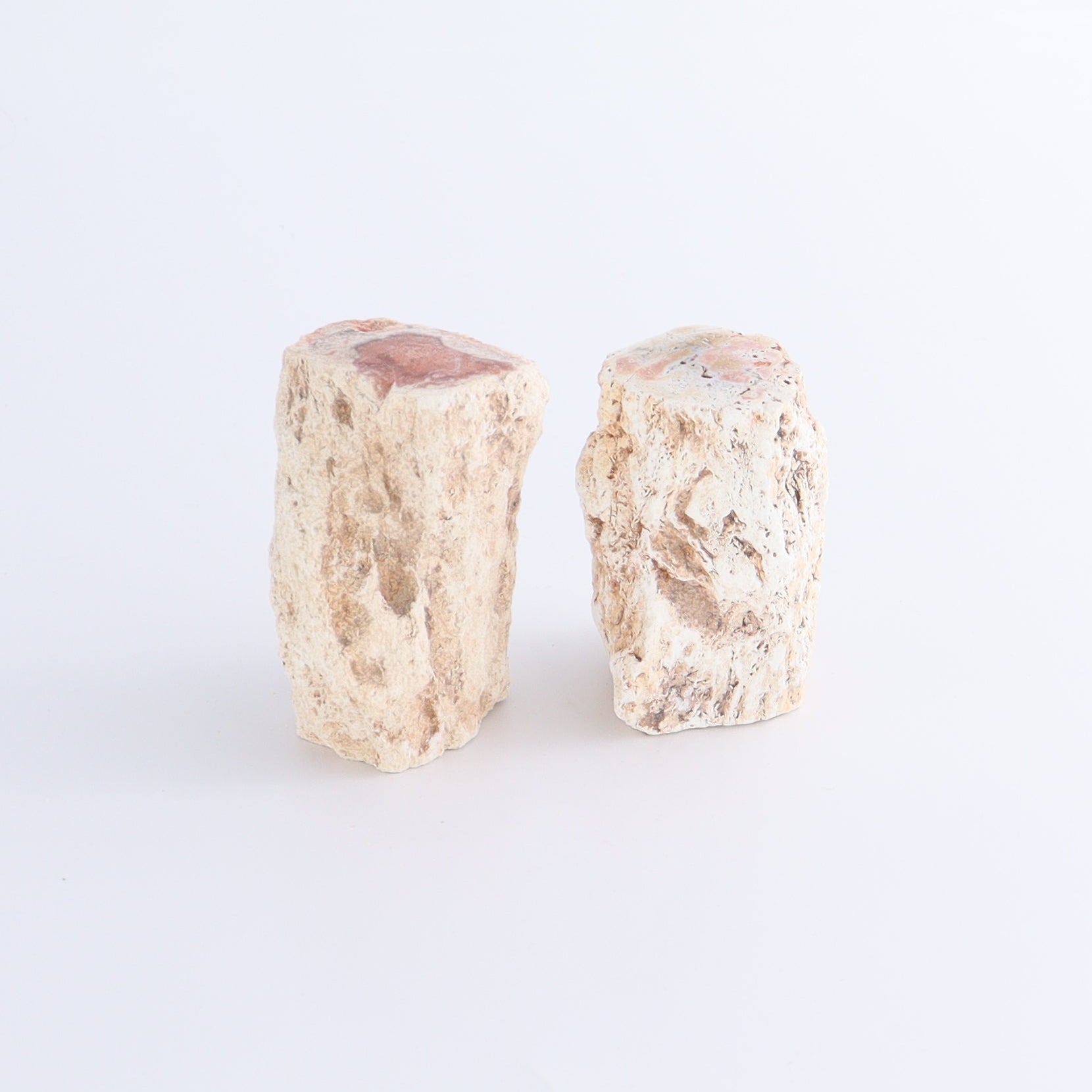 Petrified Wood Cut Bases Set of 8 - Expert Wholesale and Supplier of Wholesale Crystals & Bulk Gemstones, ["Cut Base","Petrified Wood"]