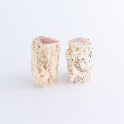 Petrified Wood Cut Bases Set of 8 - Expert Wholesale and Supplier of Wholesale Crystals & Bulk Gemstones, ["Cut Base","Petrified Wood"]