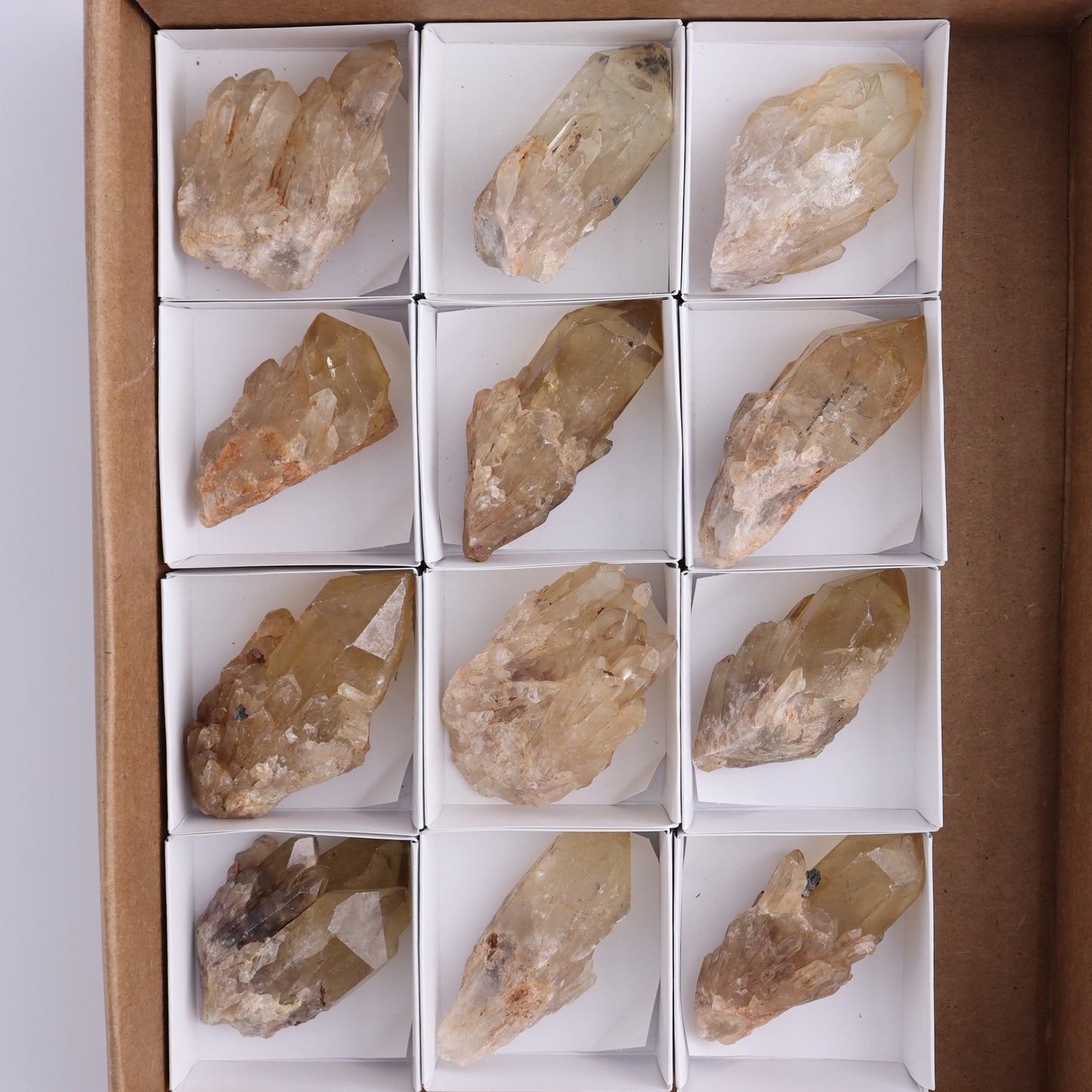 Congo Citrine Set of 12 - Expert Wholesale and Supplier of Wholesale Crystals & Bulk Gemstones, ["Citrine","Congo","Rough","Roughs"]