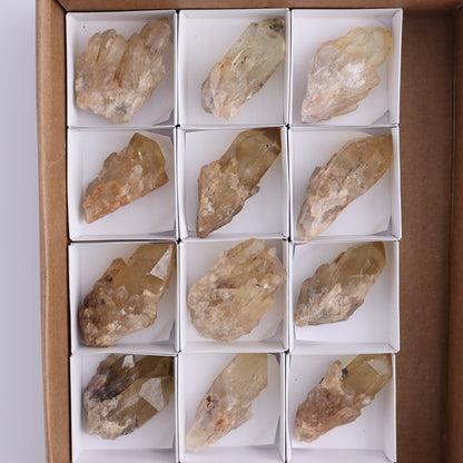 Congo Citrine Set of 12 - Expert Wholesale and Supplier of Wholesale Crystals & Bulk Gemstones, ["Citrine","Congo","Rough","Roughs"]