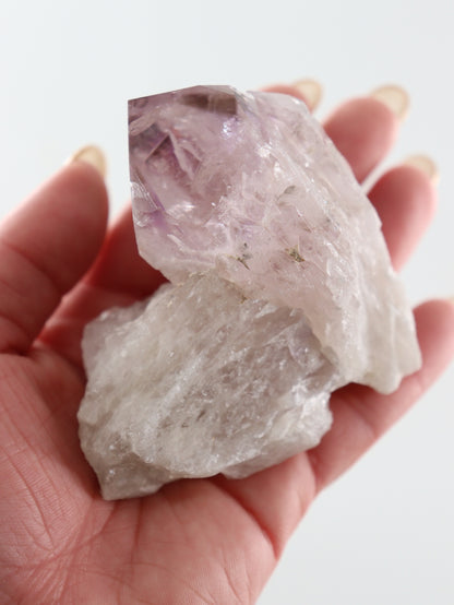 Phantom Amethyst Points Set of 3 - Expert Supplier of Wholesale Crystals & Bulk Gemstones