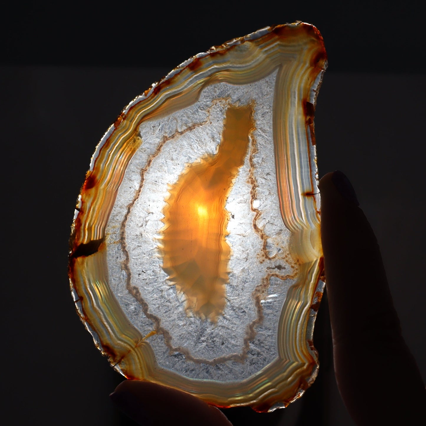 Iris Agate Slices Set of 6 - Expert Wholesale and Supplier of Wholesale Crystals & Bulk Gemstones, ["Agate","Iris Agate","Slices and Slabs"]