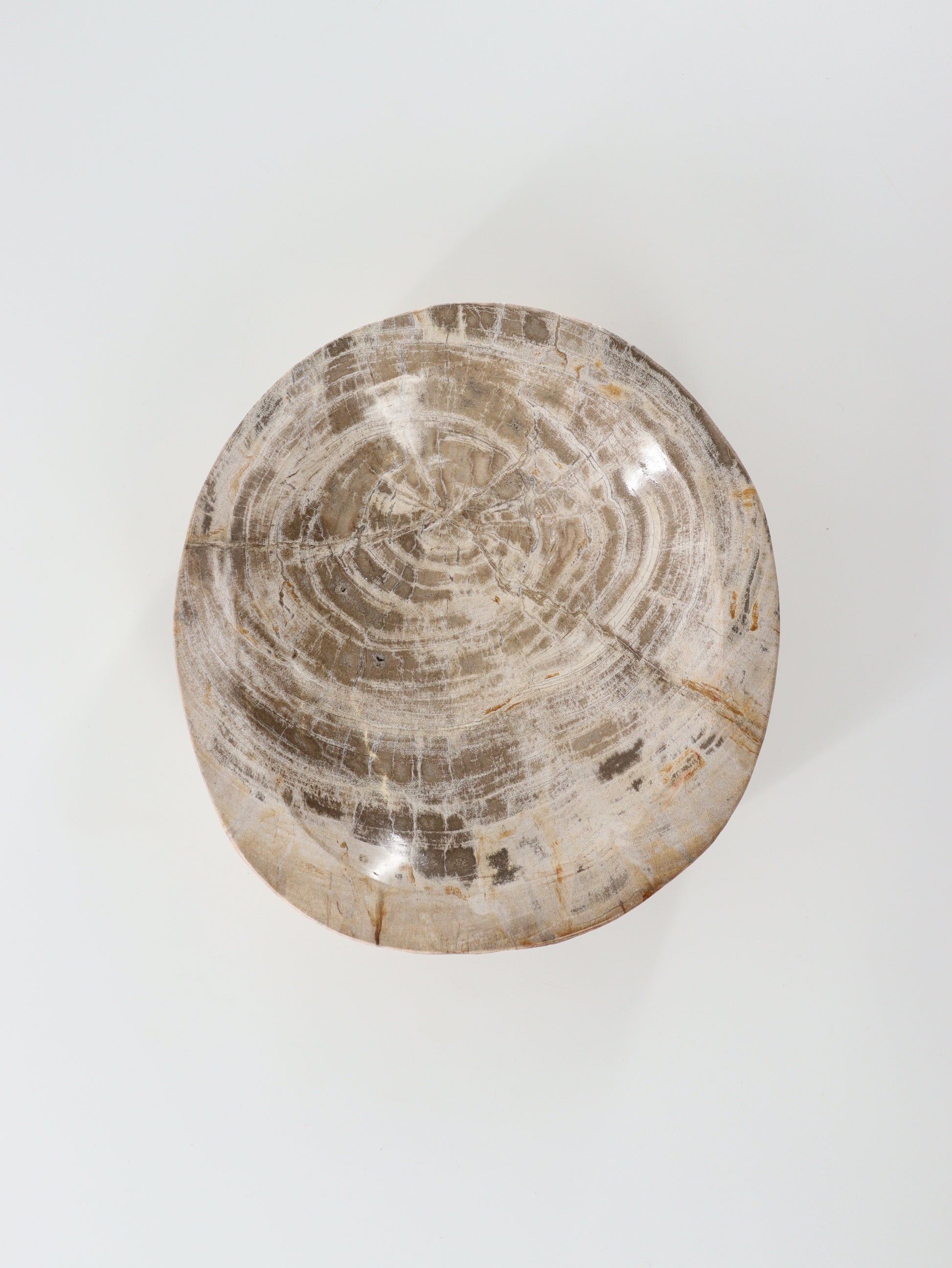 Petrified Wood Bowl - Expert Wholesale and Supplier of Wholesale Crystals & Bulk Gemstones, []