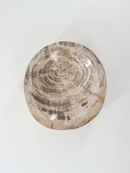 Petrified Wood Bowl - Expert Wholesale and Supplier of Wholesale Crystals & Bulk Gemstones, []