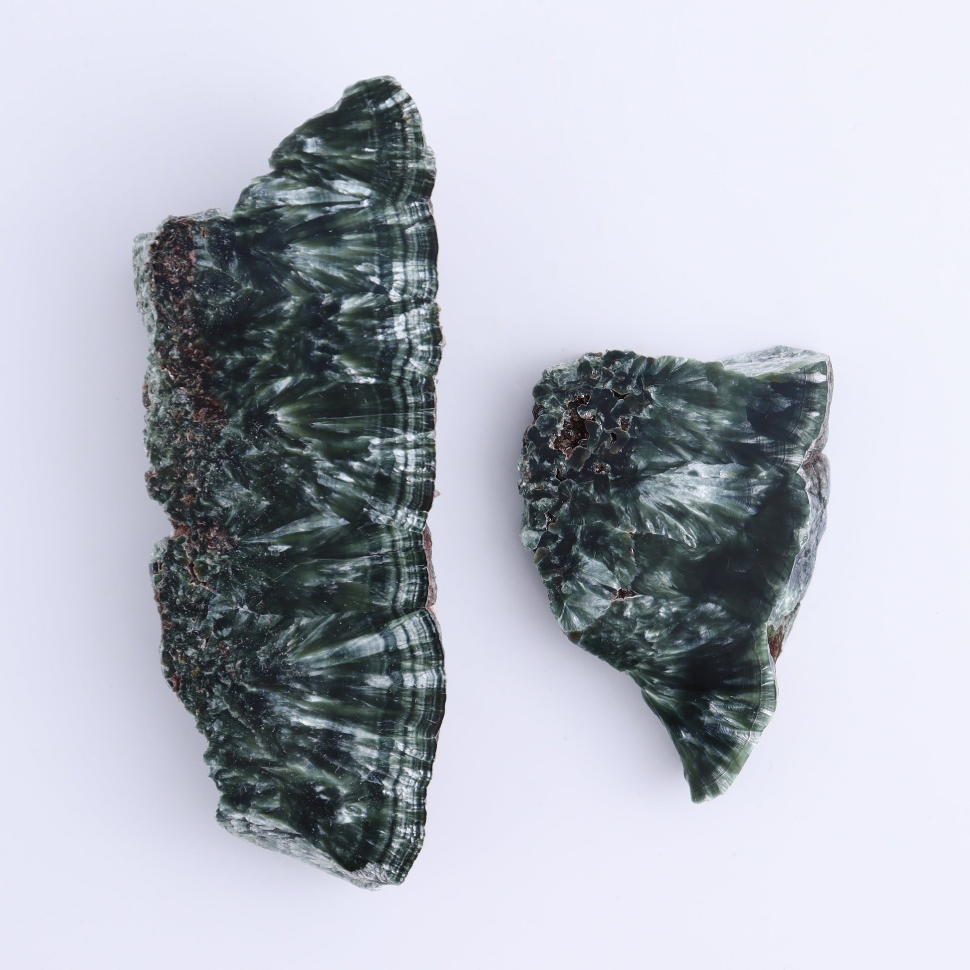 Seraphinite Slices Set of 6 - Expert Wholesale and Supplier of Wholesale Crystals & Bulk Gemstones, ["Russia","Seraphinite","Slices and Slabs"]