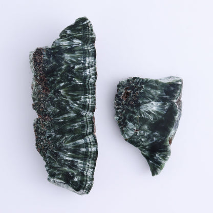 Seraphinite Slices Set of 6 - Expert Wholesale and Supplier of Wholesale Crystals & Bulk Gemstones, ["Russia","Seraphinite","Slices and Slabs"]