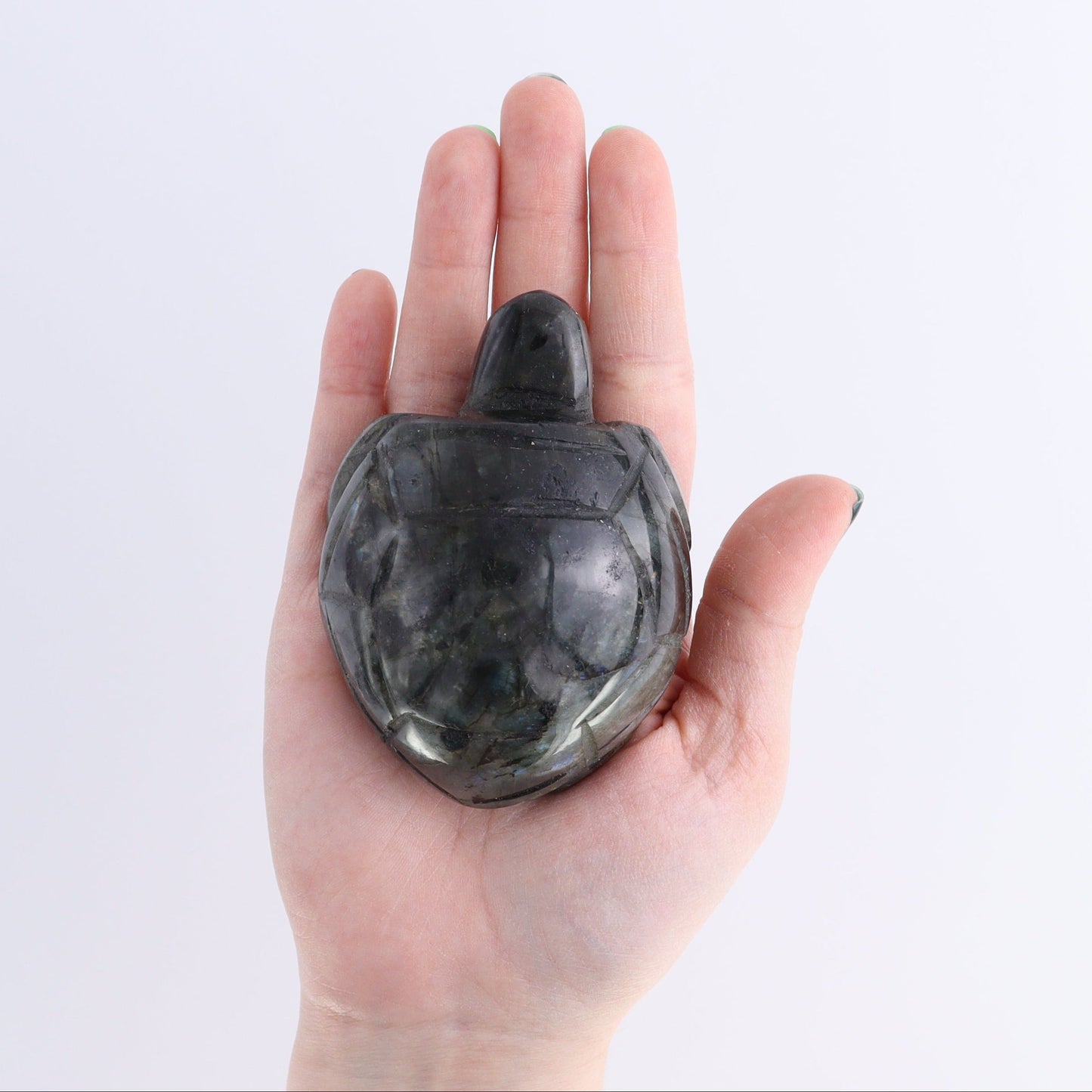 Labradorite Turtles Set of 4 - Expert Wholesale and Supplier of Wholesale Crystals & Bulk Gemstones, ["Labradorite","Madagascar","turtle","Turtles"]