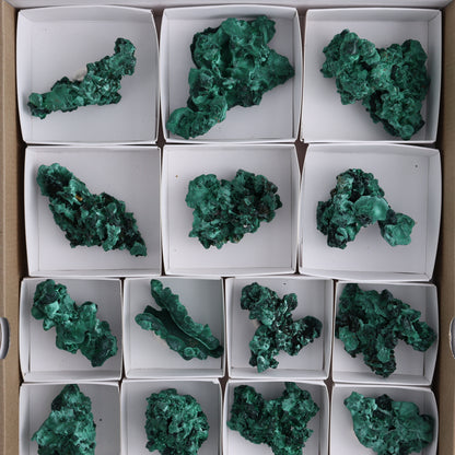 Malachite Freeforms Set of 20 - Expert Wholesale and Supplier of Wholesale Crystals & Bulk Gemstones, ["Freeform","Malachite","South Africa"]