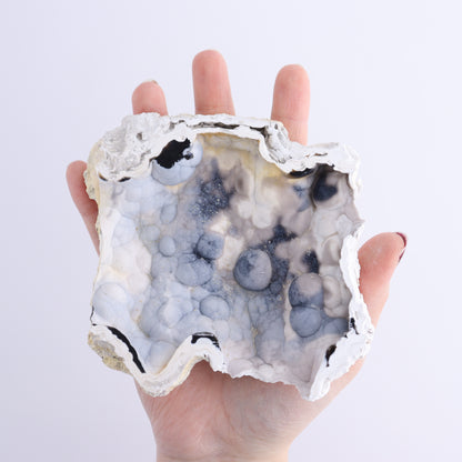 Agatized Coral Flat - Expert Wholesale and Supplier of Wholesale Crystals & Bulk Gemstones, ["Agate","Agatized Coral","Coral","United States"]