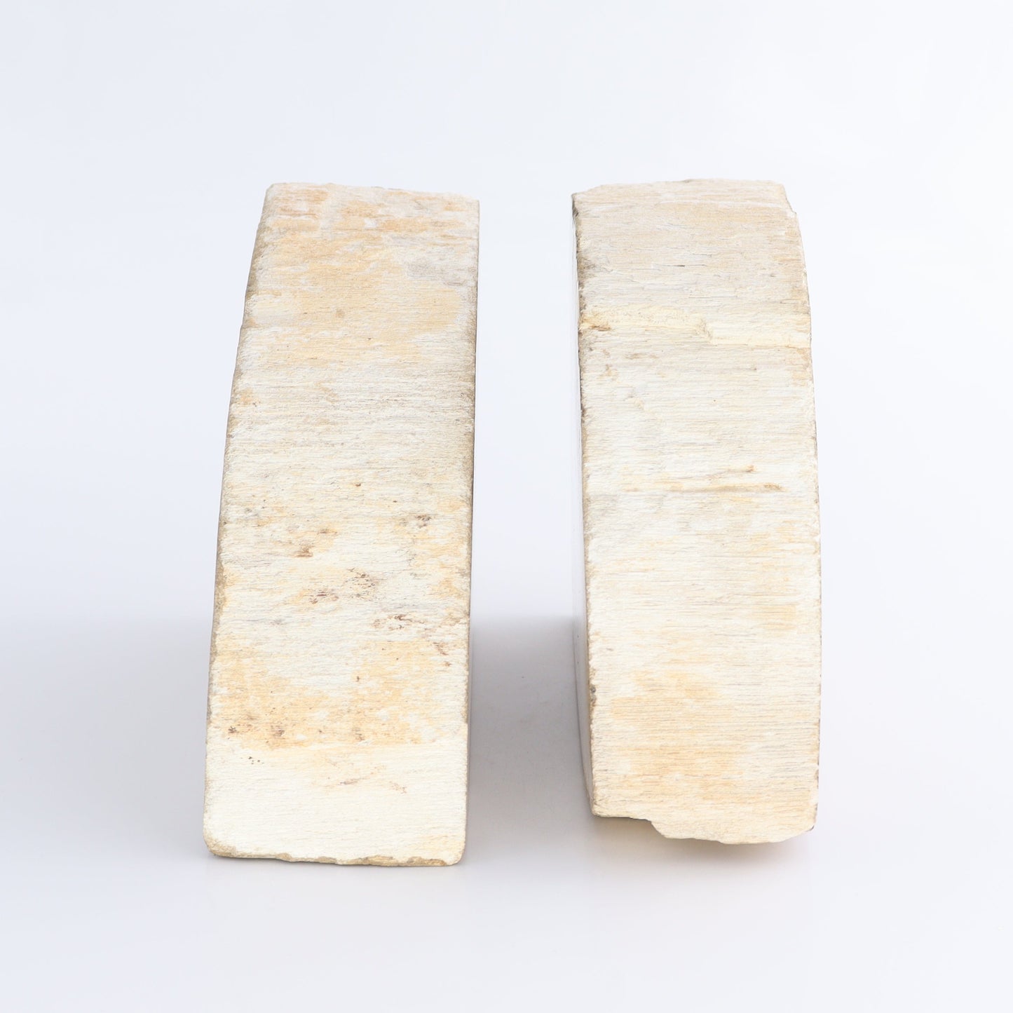 Bookends Petrified Wood - Expert Wholesale and Supplier of Wholesale Crystals & Bulk Gemstones, ["Bookends","Indonesia","Petrified Wood"]