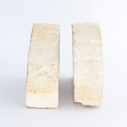 Bookends Petrified Wood - Expert Wholesale and Supplier of Wholesale Crystals & Bulk Gemstones, ["Bookends","Indonesia","Petrified Wood"]
