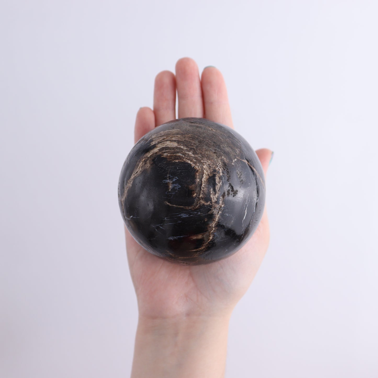 Petrified Wood Spheres Set of 4 - Expert Wholesale and Supplier of Wholesale Crystals & Bulk Gemstones, ["Indonesia","Petrified Wood","Spheres"]