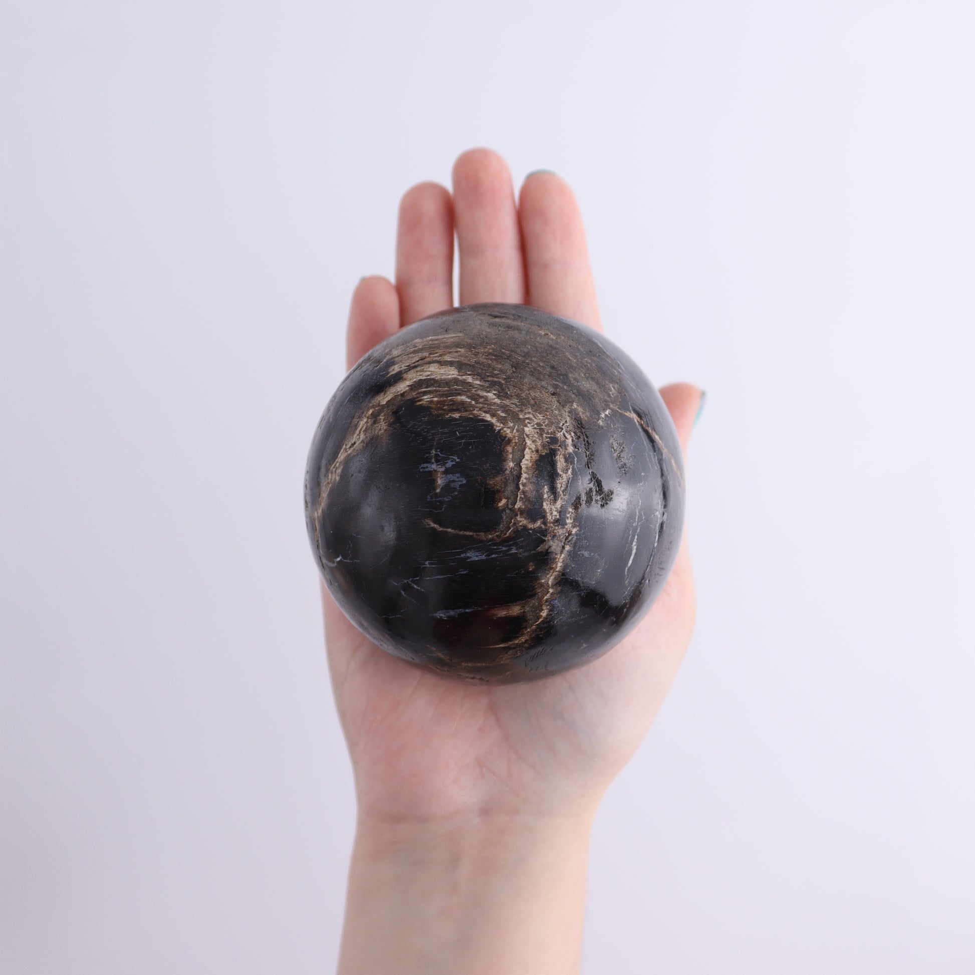 Petrified Wood Spheres Set of 4 - Expert Wholesale and Supplier of Wholesale Crystals & Bulk Gemstones, ["Indonesia","Petrified Wood","Spheres"]