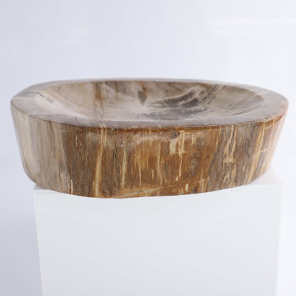 Bowl Petrified Wood - Expert Wholesale and Supplier of Wholesale Crystals & Bulk Gemstones, ["Bowls","Indonesia","Petrified Wood"]