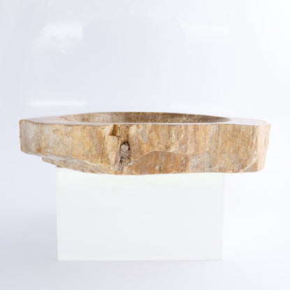 Petrified Wood Bowls Set of 2 - Expert Wholesale and Supplier of Wholesale Crystals & Bulk Gemstones, ["Bowls","Indonesia","Petrified Wood"]