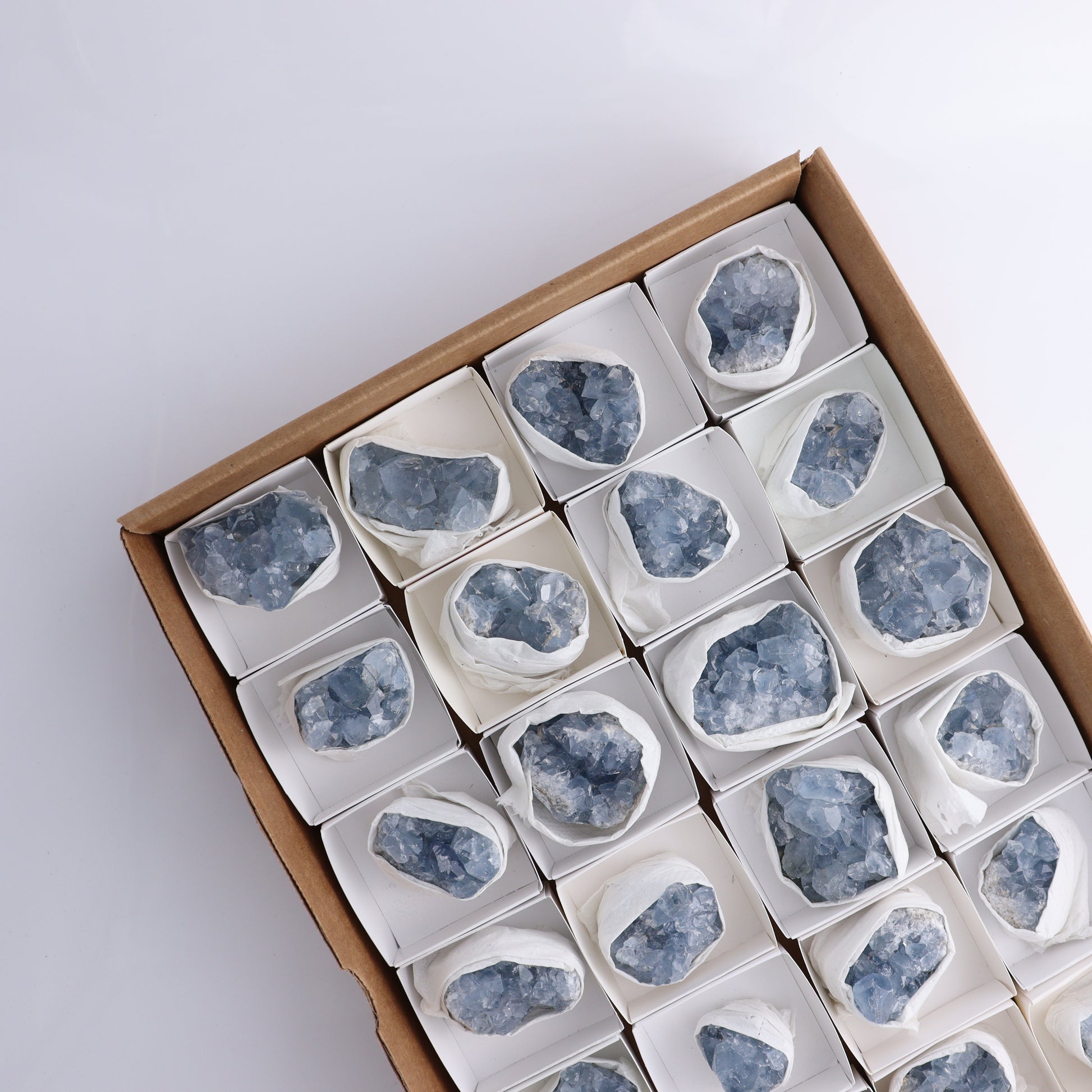 Celestite Cluster of 24 - Expert Wholesale and Supplier of Wholesale Crystals & Bulk Gemstones, ["Celestite","Clusters","Freeform","Madagascar"]