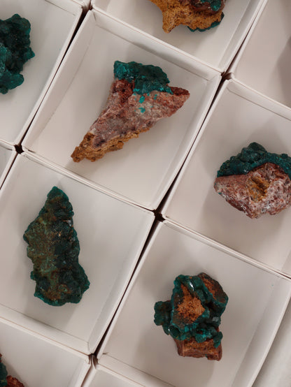 Dioptase Flat Set of 12