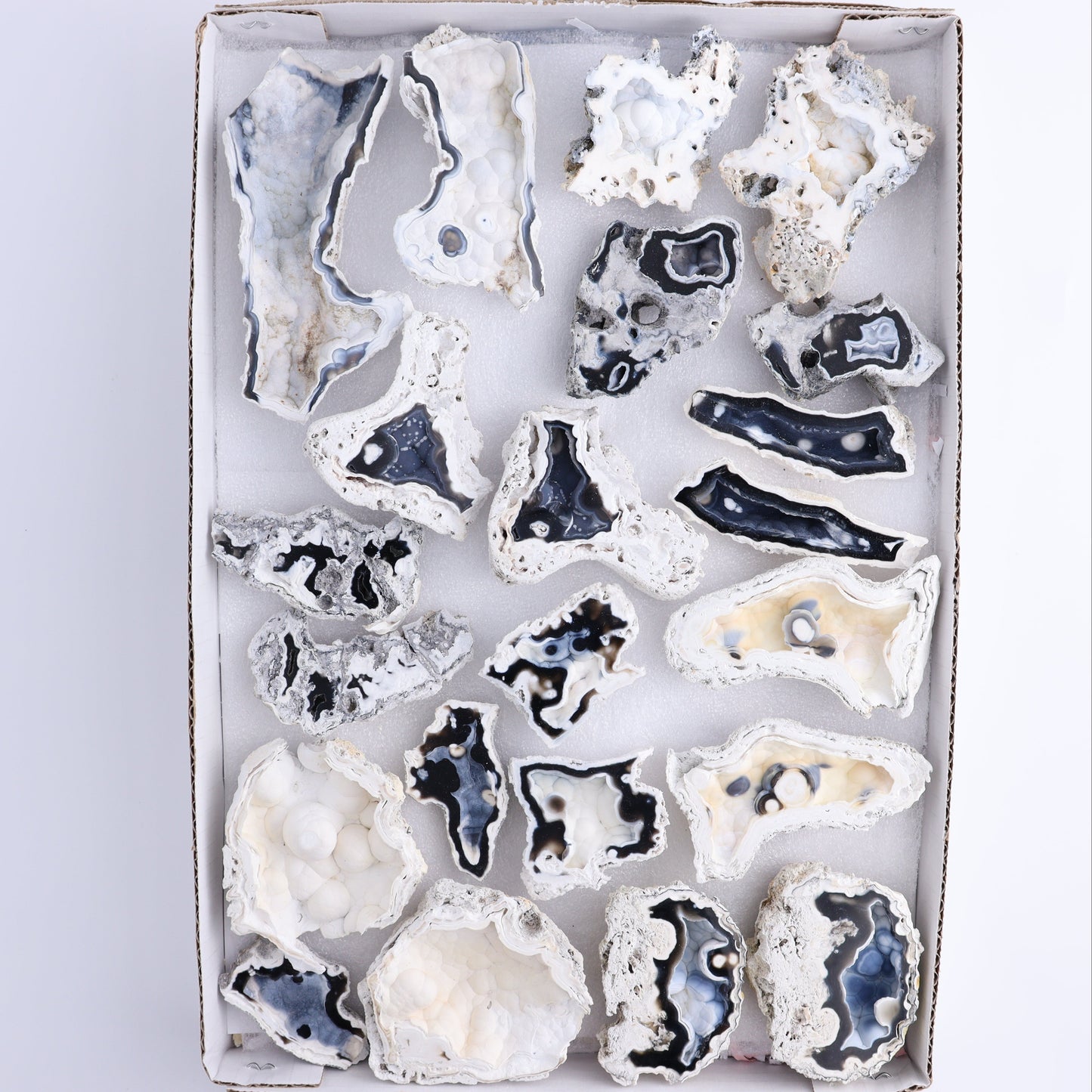 Agatized Coral Flat - Expert Wholesale and Supplier of Wholesale Crystals & Bulk Gemstones, ["Agate","Agatized Coral","Coral","United States"]