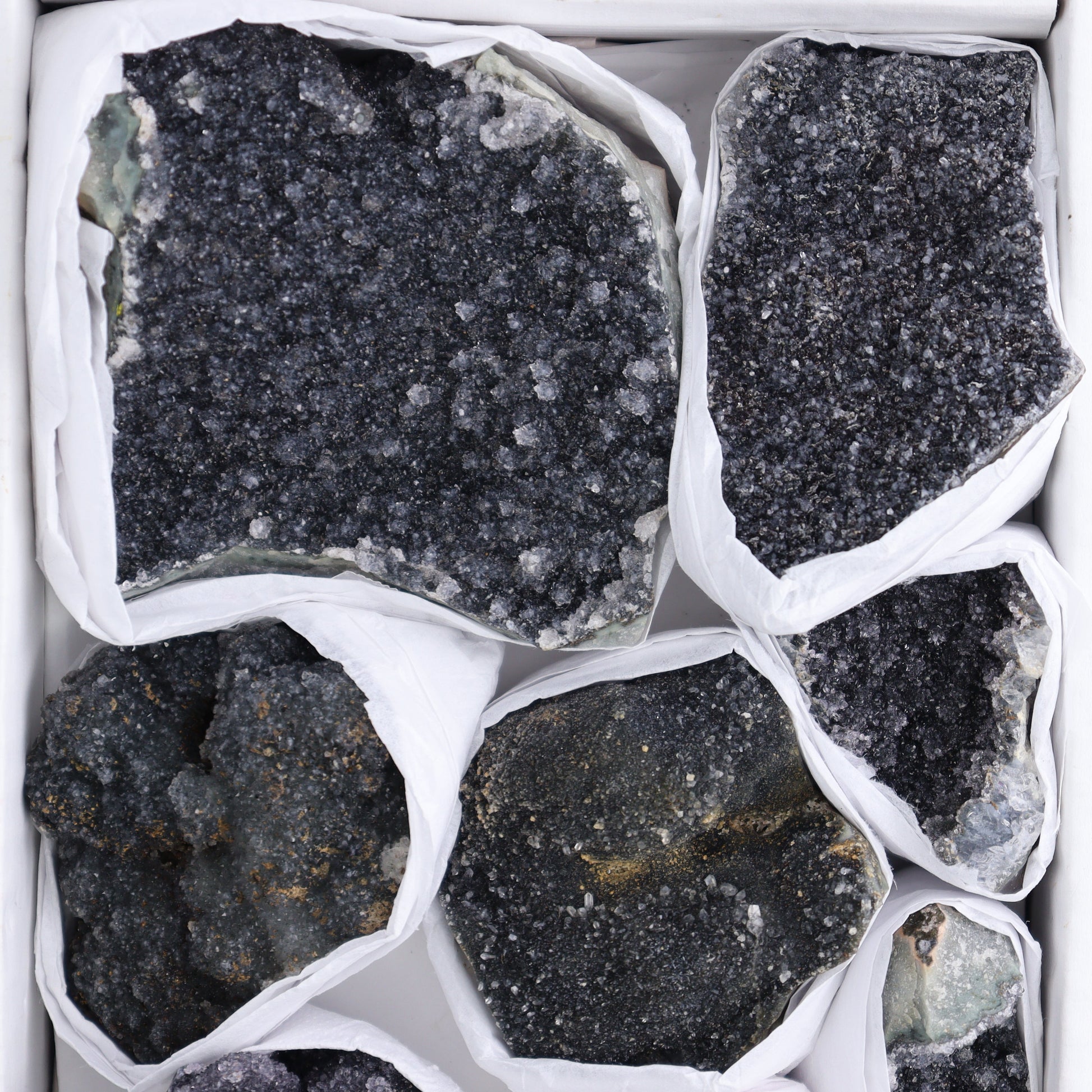 Uruguay Black Amethyst Clusters Flat of 9 - Expert Wholesale and Supplier of Wholesale Crystals & Bulk Gemstones, ["Amethyst","Black Amethyst","Clusters","Uruguay"]