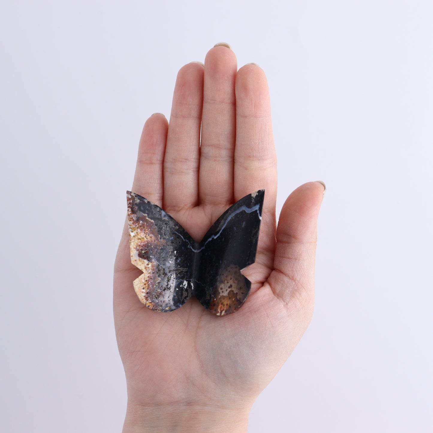 One Palm Root Agate Butterfly - Expert Wholesale and Supplier of Wholesale Crystals & Bulk Gemstones, ["Agate","Butterflies","Butterfly","Palm Root"]