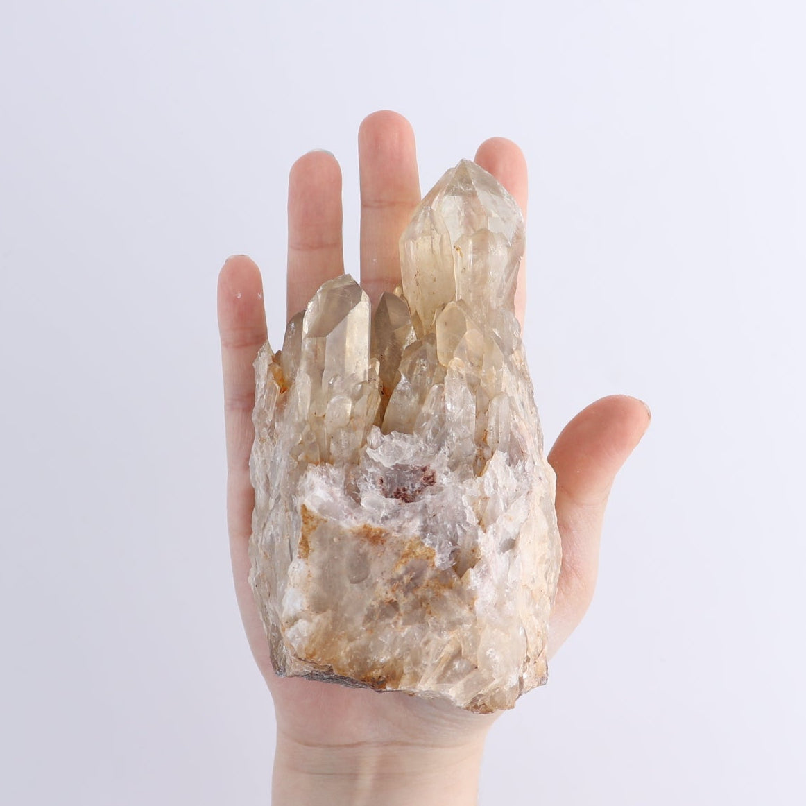 Congo Citrine Set of 6