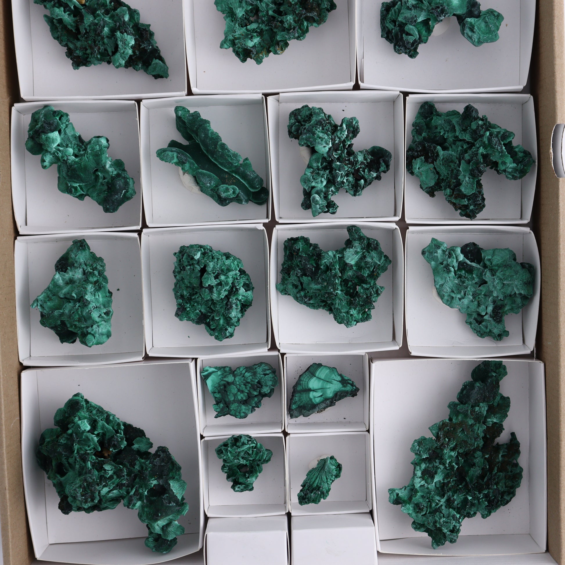 Malachite Freeforms Set of 20 - Expert Wholesale and Supplier of Wholesale Crystals & Bulk Gemstones, ["Freeform","Malachite","South Africa"]