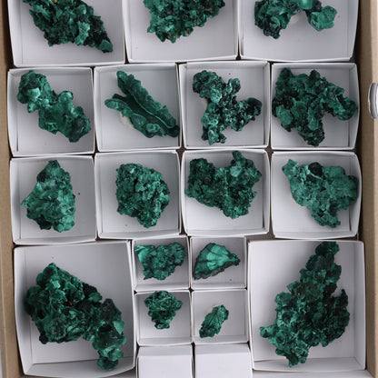 Malachite Freeforms Set of 20 - Expert Wholesale and Supplier of Wholesale Crystals & Bulk Gemstones, ["Freeform","Malachite","South Africa"]