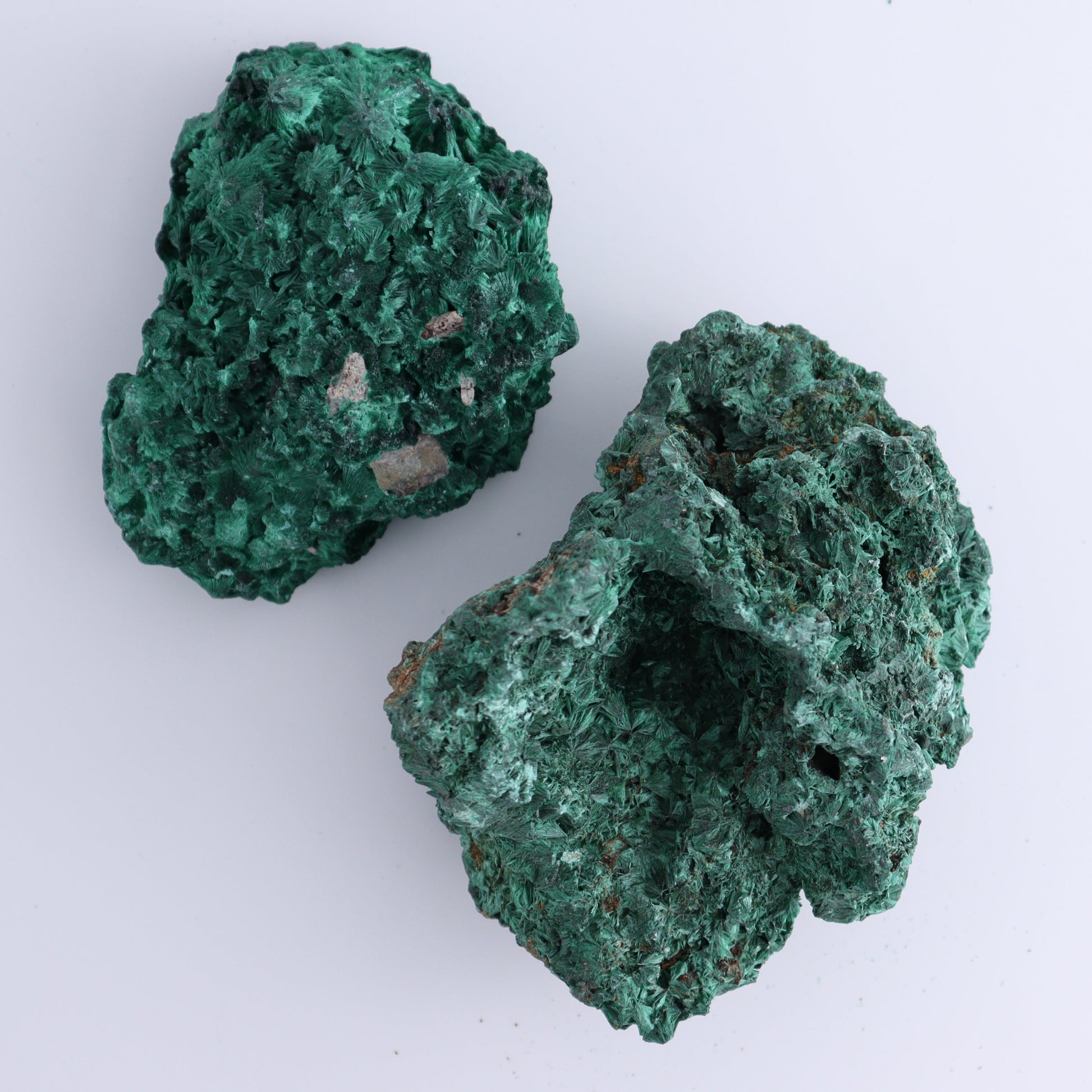 Malachite Freeform Set of 2 - Expert Wholesale and Supplier of Wholesale Crystals & Bulk Gemstones, ["Freeform","Malachite","South Africa"]