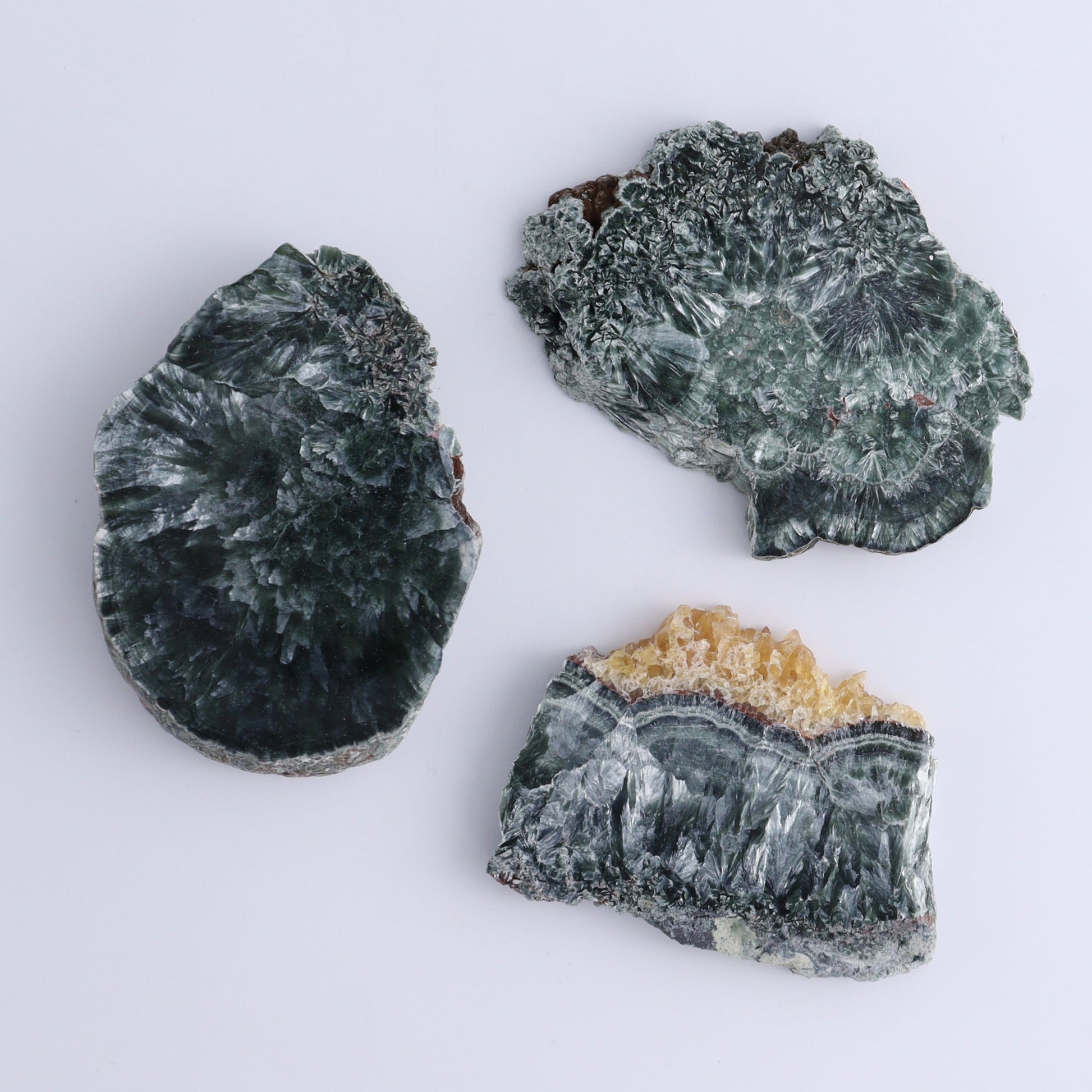 Seraphinite Slices Set of 12 - Expert Wholesale and Supplier of Wholesale Crystals & Bulk Gemstones, ["Seraphinite","Slices and Slabs"]