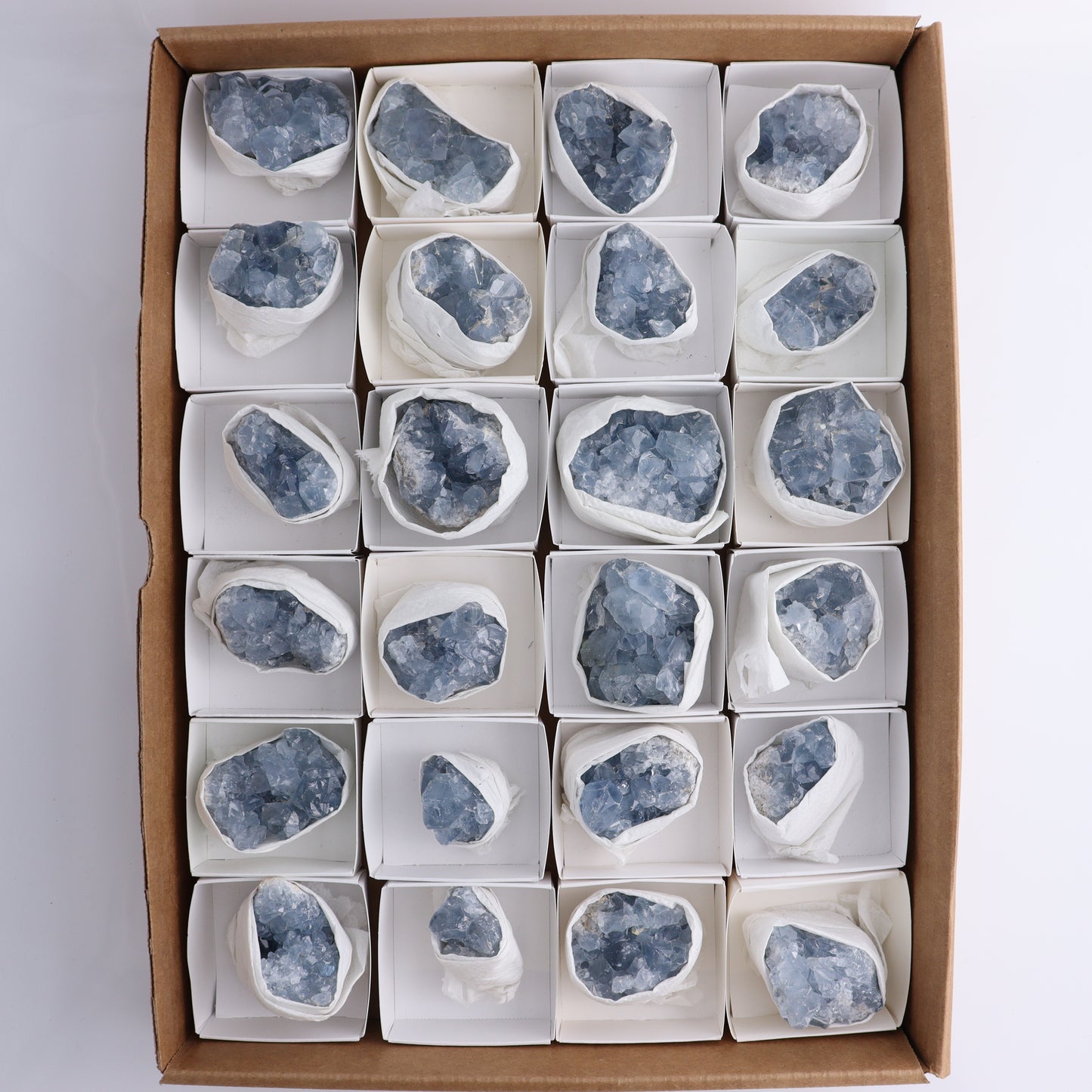 Celestite Cluster of 24 - Expert Wholesale and Supplier of Wholesale Crystals & Bulk Gemstones, ["Celestite","Clusters","Freeform","Madagascar"]