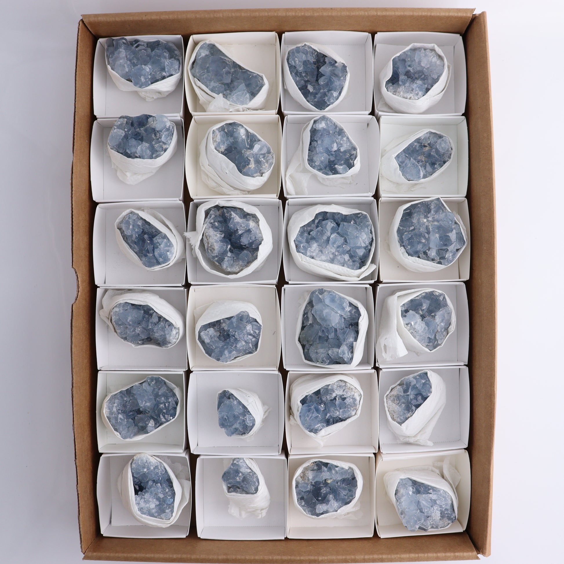 Celestite Cluster of 24 - Expert Wholesale and Supplier of Wholesale Crystals & Bulk Gemstones, ["Celestite","Clusters","Freeform","Madagascar"]