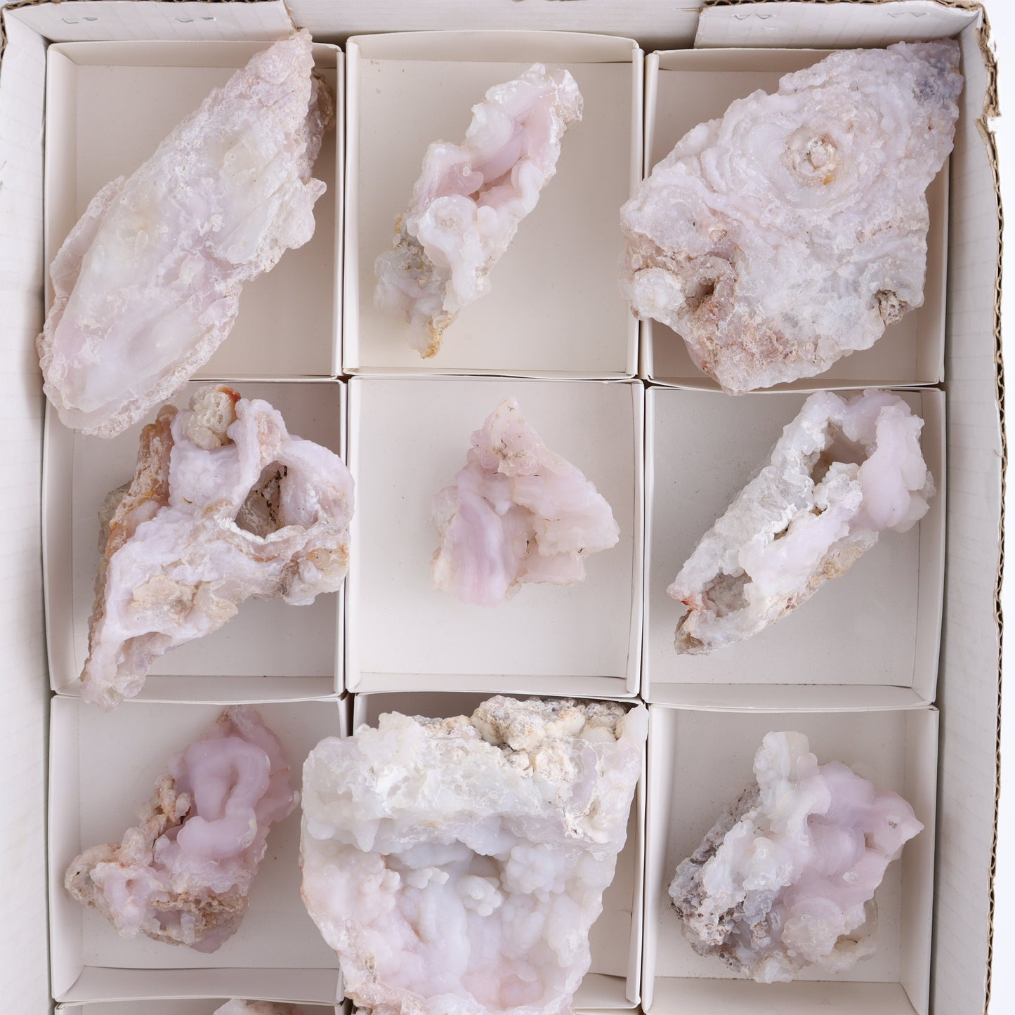 Chalcedony Set of 12 - Expert Wholesale and Supplier of Wholesale Crystals & Bulk Gemstones, ["Chalcedony","Freeforms"]