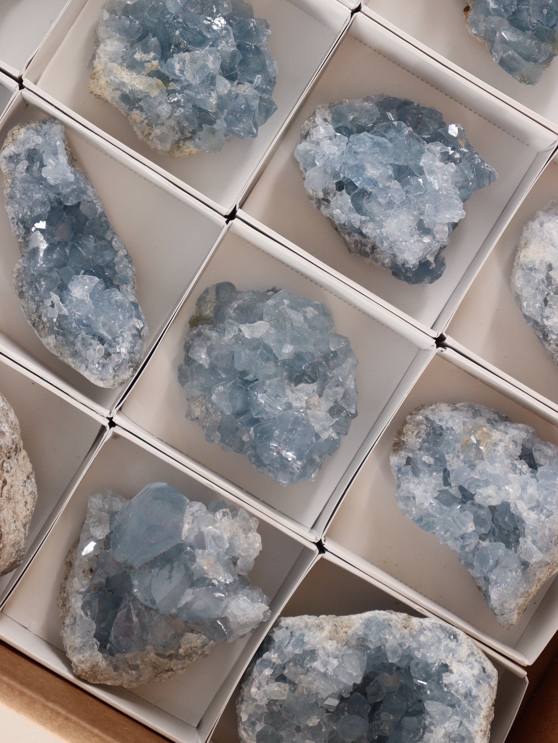 Celestite Clusters Set of 24 - Expert Wholesale and Supplier of Wholesale Crystals & Bulk Gemstones, []