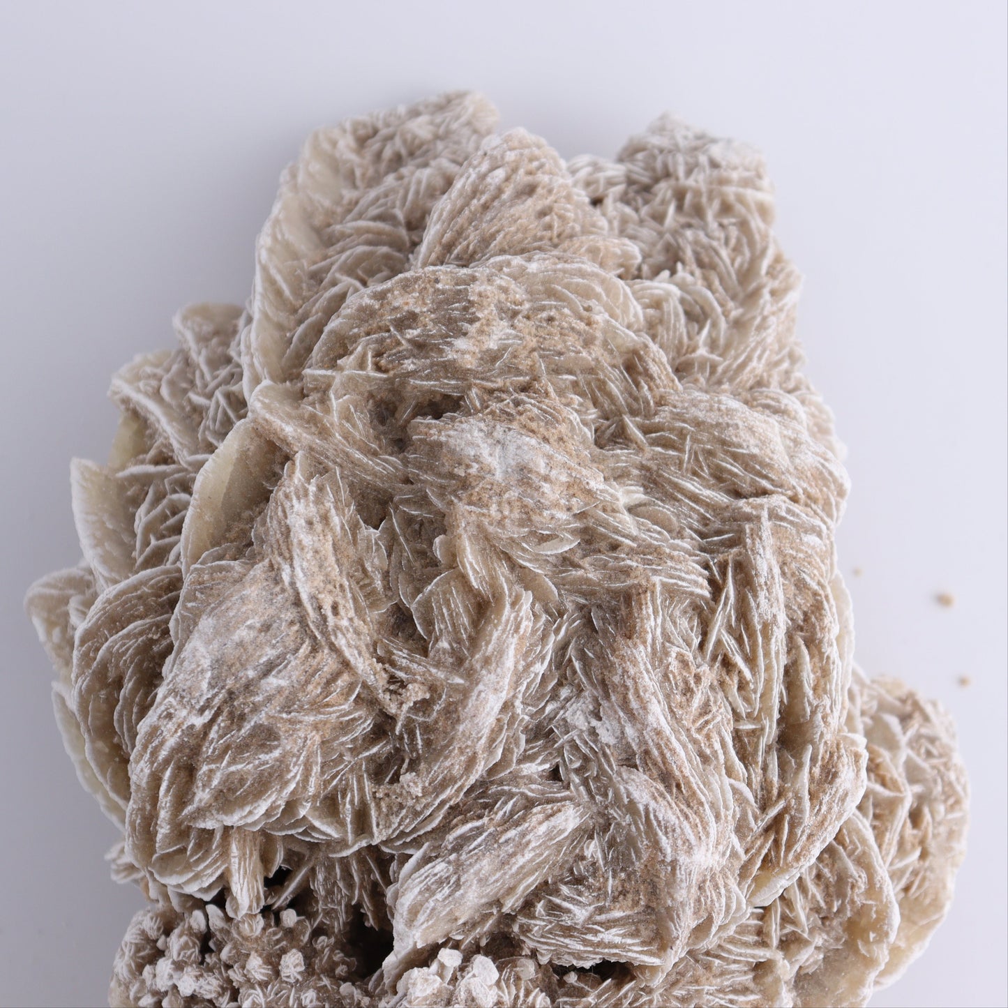 Desert Rose Cluster - Expert Wholesale and Supplier of Wholesale Crystals & Bulk Gemstones, ["Desert Rose","Freeforms"]