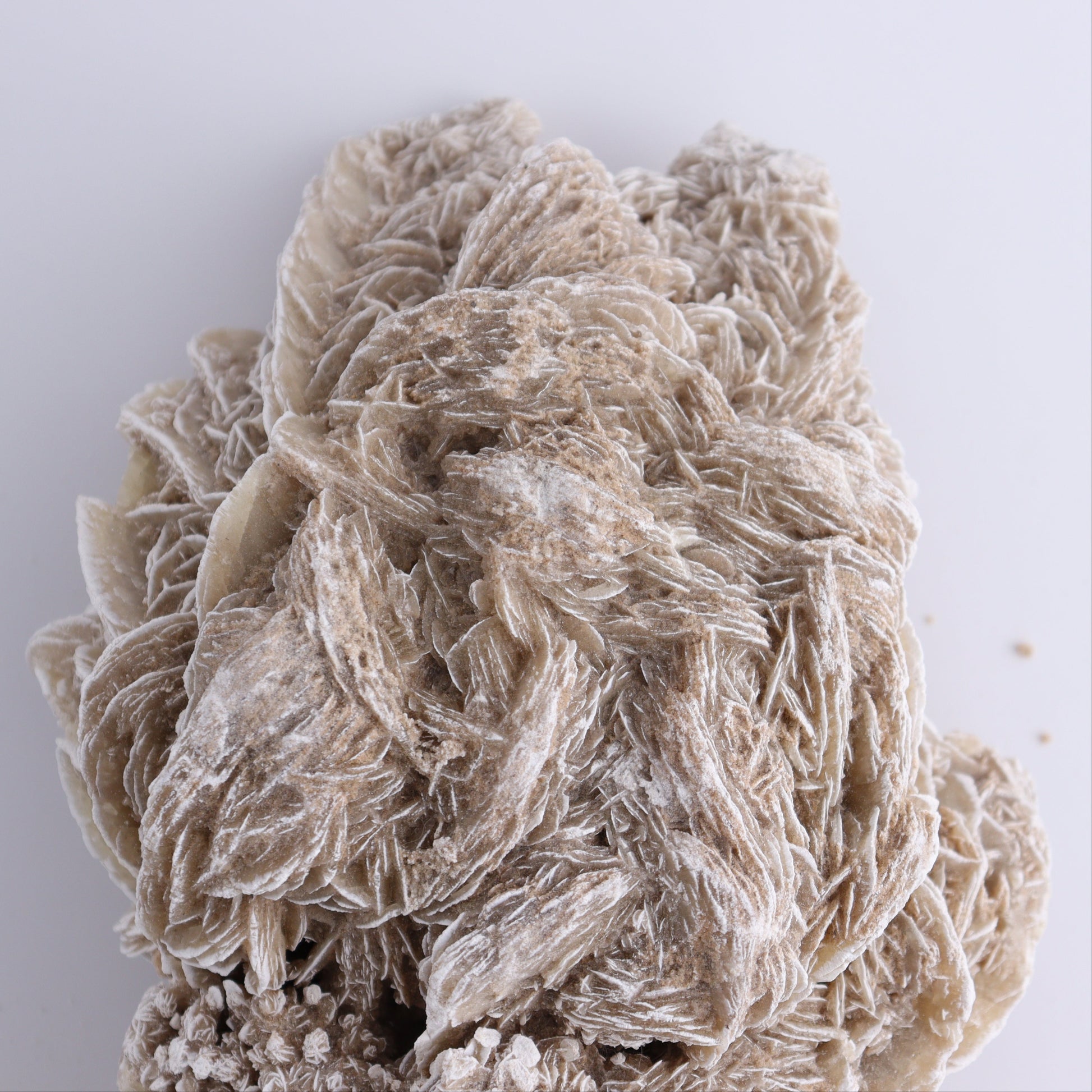 Desert Rose Cluster - Expert Wholesale and Supplier of Wholesale Crystals & Bulk Gemstones, ["Desert Rose","Freeforms"]