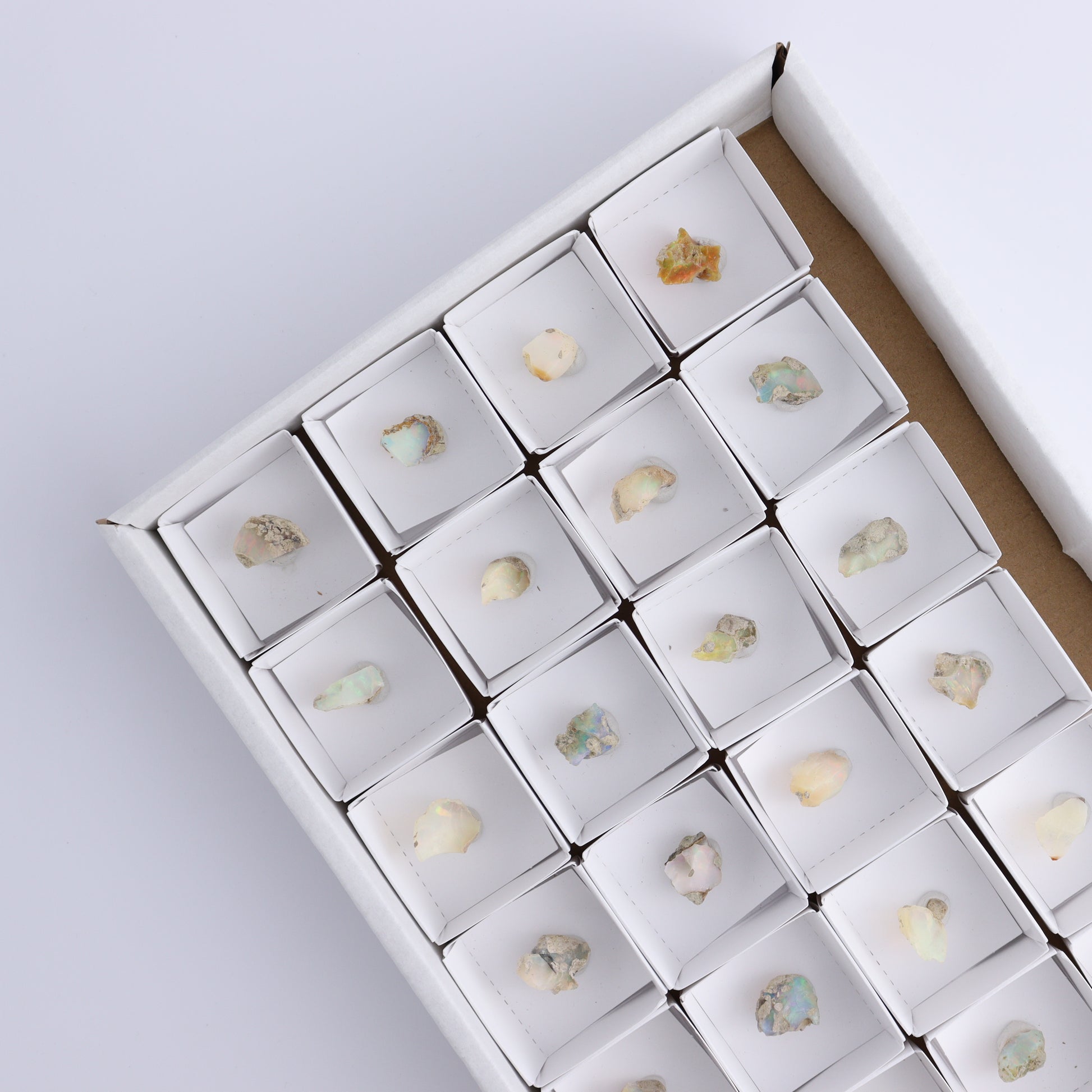 Ethiopian Opal Set of 24 - Expert Wholesale and Supplier of Wholesale Crystals & Bulk Gemstones, ["Ethiopia","ethiopian opal","Opal"]