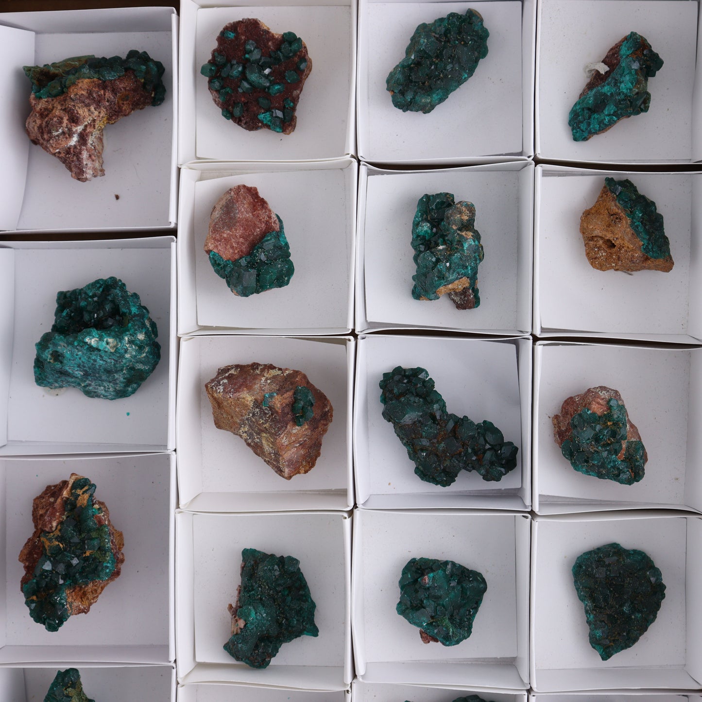 Dioptase Set of 19 - Expert Wholesale and Supplier of Wholesale Crystals & Bulk Gemstones, ["dioptase","Freeform","Freeforms"]