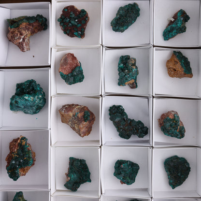 Dioptase Set of 19 - Expert Wholesale and Supplier of Wholesale Crystals & Bulk Gemstones, ["dioptase","Freeform","Freeforms"]