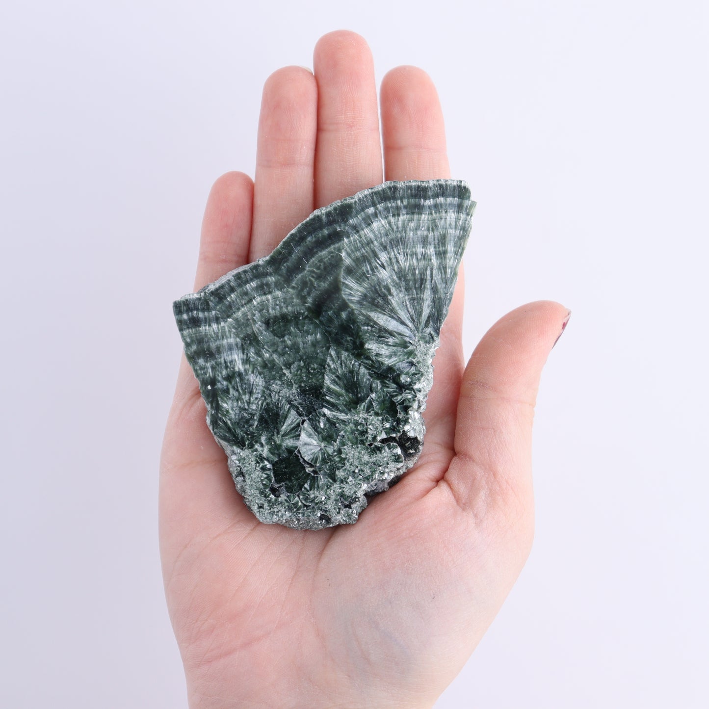 Seraphinite Slices Set of 6 - Expert Wholesale and Supplier of Wholesale Crystals & Bulk Gemstones, ["Russia","Seraphinite","Slices and Slabs"]